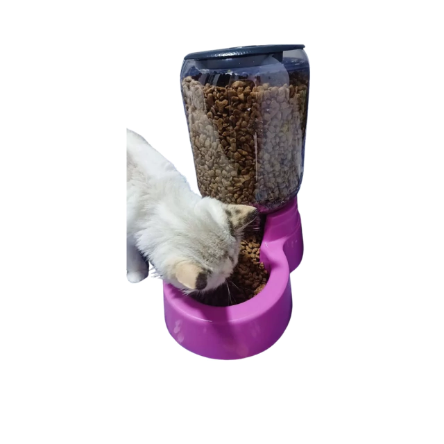 Comedouro Automático para Pet Personalizado - Image 3